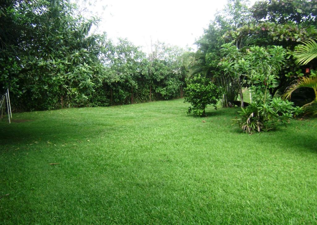 B&B Garden Гресія Номер фото